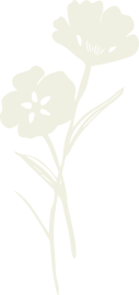 花朵圖標